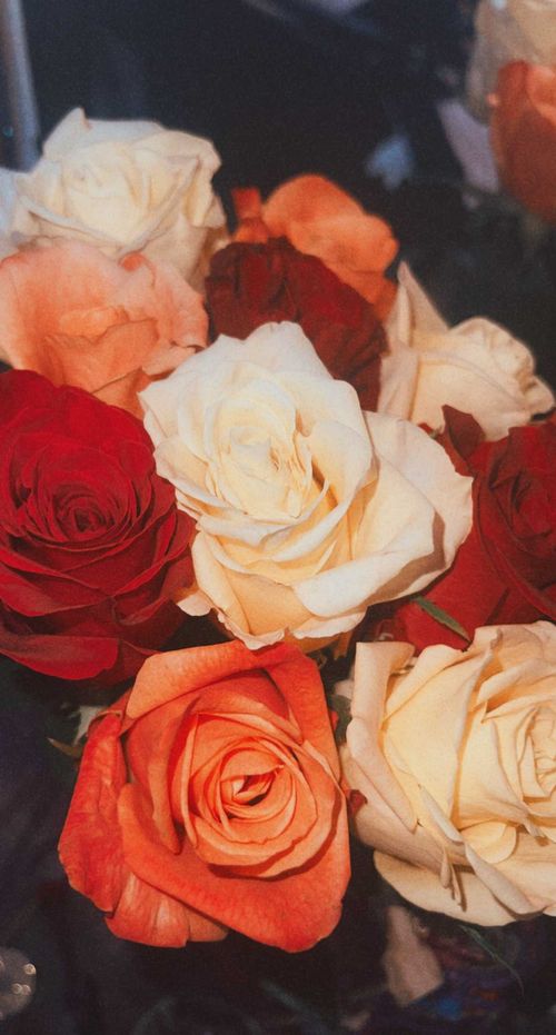 Caitlyn Nicolee - caityybchiefin OnlyFans