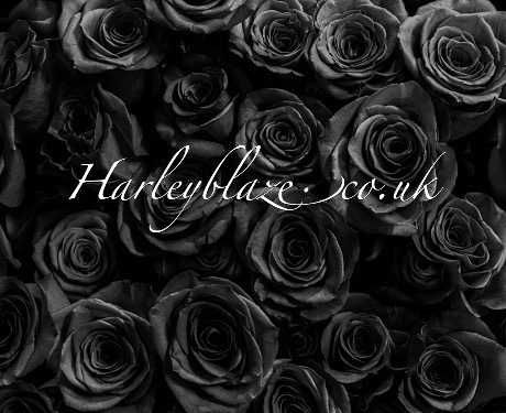 HARLEY - harleyblaze0 OnlyFans