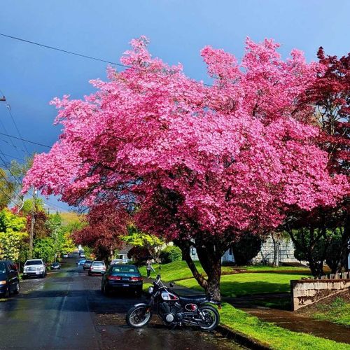 Muffin - organicfetish OnlyFans