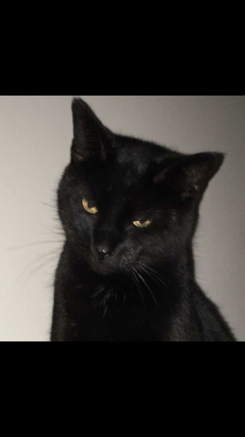 Kelly - dieselbelle OnlyFans