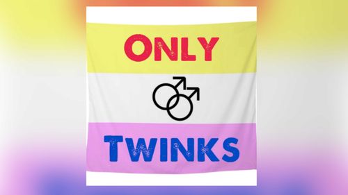 OnlyTwinks - only_twinks OnlyFans