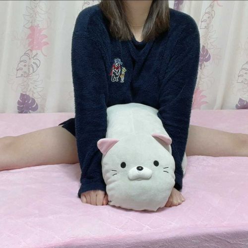 Pomeko - u218795402 OnlyFans