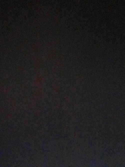 Annie Rivieccio - annierivieccio OnlyFans