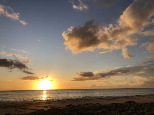 Wildnprettyx - wildnprettyx OnlyFans